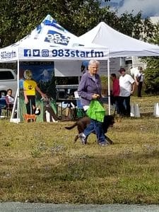 BCSPCA Community event