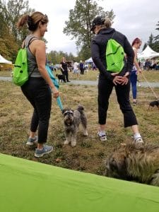 BCSPCA Community event
