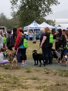 BCSPCA Community event