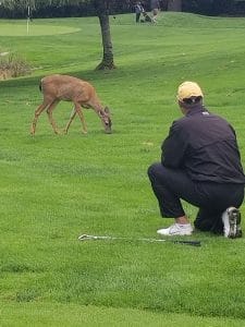 Abbotsford Chamber of Commerce Golf Tournament
