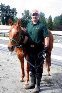 Therapeutic Horse